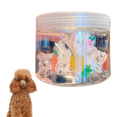 OKOVO 10 Stück Haustier-Haarspangen, modische niedliche Welpen-Haarspangen, Katzen-Haarknoten mit Aufbewahrungsbox, Hundehaar-Pflegezubehör für Fotoshootings mit Hunden, Katzen und OKOVO 10 Stück Haustier-Haarspangen, modische niedliche Welpen-Haarspangen, Katzen-Haarknoten mit Aufbewahrungsbox, Hundehaar-Pflegezubehör für Fotoshootings mit Hunden, Katzen und von OKOVO