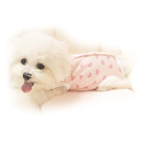 Teacup-Hundekleidung, Warmer Winter-Haustiermantel, Kälteschutz, vollständiger Bauchschutz, kleines Teacup-Hunde-Outfit, Hundezubehör für Frühling und (Little Red Heart S) von OKOVO