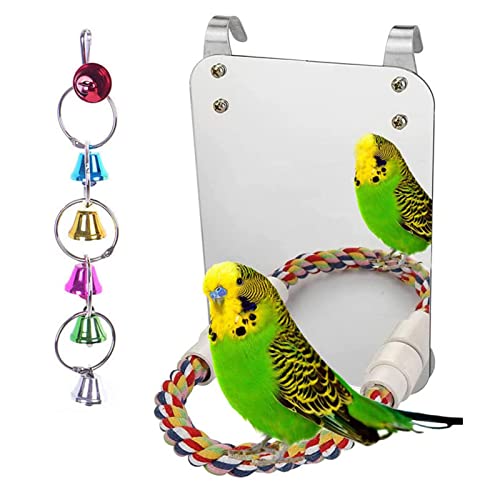 Vogel-Spiegel-Spielzeug, bunter, kauender, stehender Papageien-Barsch-Spiegel mit Glöckchenschnur, Käfig-Vogelspielzeug, Schaukel, Papageienkäfig-Spielzeug, Papageienbissspielzeug Vogel-Spiegel-Spielzeug, bunter, kauender, stehender Papageien-Barsch-Spiegel mit Glöckchenschnur, Käfig-Vogelspielzeug, Schaukel, Papageienkäfig-Spielzeug, Papageienbissspielzeug von OKOVO
