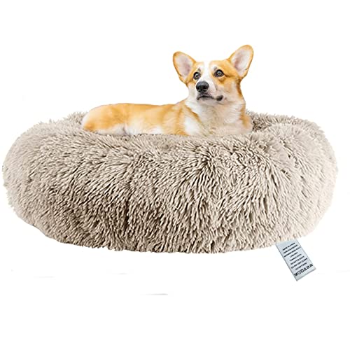 OKPOW Donut Hundebett Fuer Kleine Hunde: Flauschig Welpenbett Rund Kuscheliges - Anti Angst Katzenbett Comfy - Plüsch Haustierbett Waschbar OKPOW Donut Hundebett Fuer Kleine Hunde: Flauschig Welpenbett Rund Kuscheliges - Anti Angst Katzenbett Comfy - Plüsch Haustierbett Waschbar von OKPOW