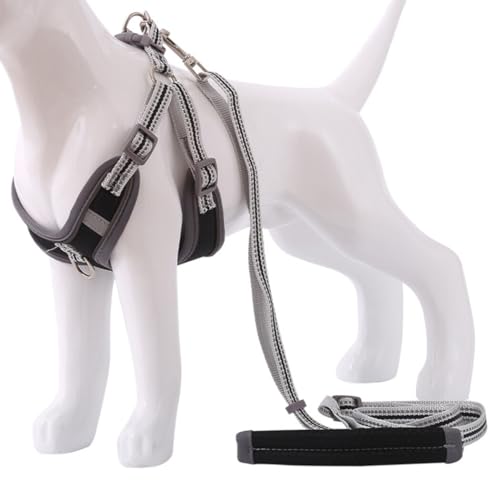 Ausbruchsicheres Nylon-Hundeweste und Leine, Set mit reflektierendem gepolstertem Design von OLACD