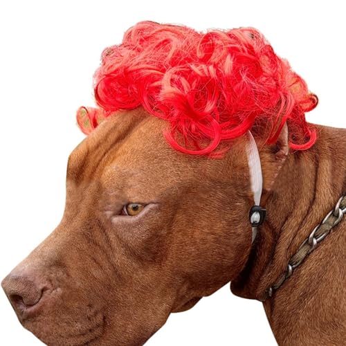 Elastische Perücke, Kopfbedeckung für Haustiere, Cosplay, lustig, verstellbar, tragbar, niedlich, dekorativ, Hund, künstliches Halloween von OLACD