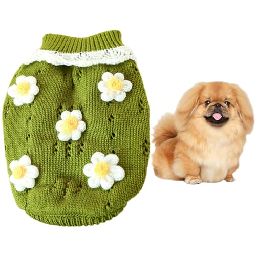 Entzückende Strickwaren für Haustiere – warmer und gemütlicher Hundepullover mit dekorativer Blume – perfekt für Winterwelpenpartys von OLACD