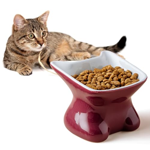 Erhöhter Katzennapf aus Keramik, leicht, auslaufsicher, wiederverwendbar, für Nass- oder Trockenfütterung von OLACD