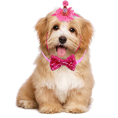 Geburtstag Feier Kegelhut für Hunde, Netz und Stoff, festliches Halsband, glitzernde Kätzchen-Geburtstagsmütze von OLACD