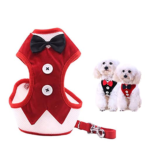 Hundegeschirr und Leine, Nylon, abnehmbar, für Kätzchen, Welpen, Weste mit stabilem Laufgurt, Leine, Kleidung Hundegeschirr und Leine, Nylon, abnehmbar, für Kätzchen, Welpen, Weste mit stabilem Laufgurt, Leine, Kleidung von OLACD