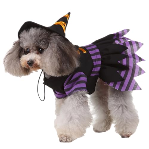 Modisches Party-Hexenkostüm und Hut für Haustiere – Halloween-Haustier-Outfits für gruseligen Spaß von OLACD