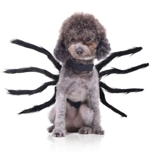 Niedliches Spinnenkostüm für Haustiere, Plüsch-Outfit für Halloween, Katzen, realistische Hunde, Cosplay, Party, Bekleidung, Kätzchen von OLACD