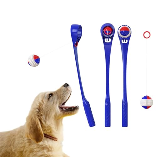 OLACD Bissfeste interaktive Hunde-Trainingsbälle – auslaufsicheres Kunststoff-Haustierspielzeug für das Spielen im Innenbereich von OLACD