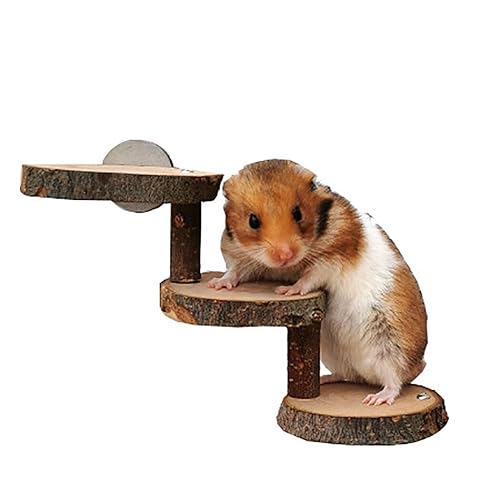 OLACD Chinchilla Kletterspielzeug Holzbrücke Leiter Plattform Lustiges Naturspielzeug Kaubarer Hamster Deko von OLACD