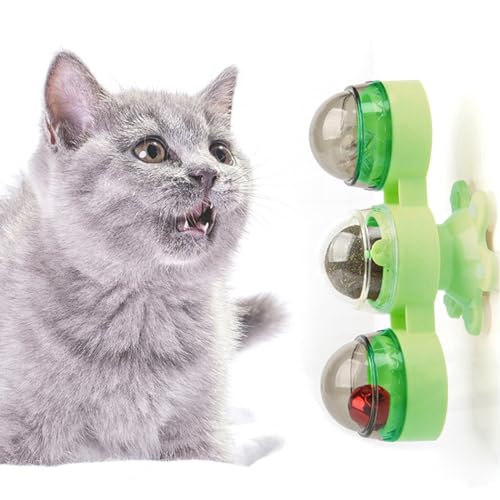 OLACD 【Entzückendes Kätzchen Interaktives Kauspielzeug】Katzenminze-Ball-Trainingsspielzeug für Stresskomfort bei kleinen bis mittleren Katzen mit Beleuchtung von OLACD