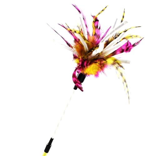OLACD Flexibler Teasing Stick für Katzen: lang, bunt, mit lustiger, interaktiver falscher Feder, Kätzchen-Aufregungsverstärker OLACD Flexibler Teasing Stick für Katzen: lang, bunt, mit lustiger, interaktiver falscher Feder, Kätzchen-Aufregungsverstärker von OLACD