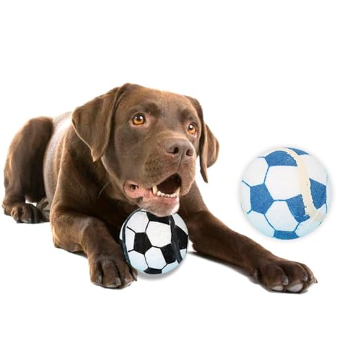 OLACD Gummi-Fußball für Welpen – 2 kleine Backenzahn-Spielbälle für die Zahnreinigung OLACD Gummi-Fußball für Welpen – 2 kleine Backenzahn-Spielbälle für die Zahnreinigung von OLACD