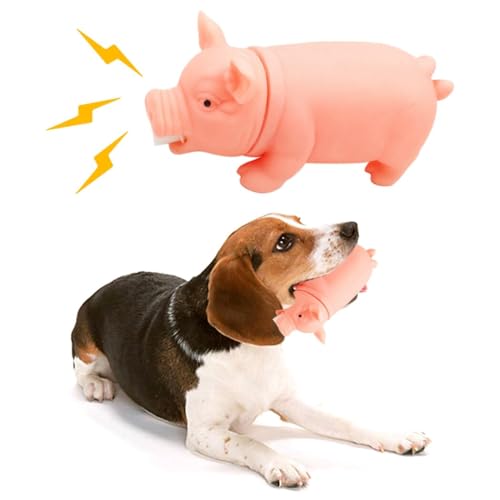 OLACD Haustier-Kauspielzeug, interaktives Hundespielzeug, quietschend, Schweineform, Gummi, Beißspielzeug für Hunde, niedliches kreatives Spielspielzeug, 2 Stück von OLACD