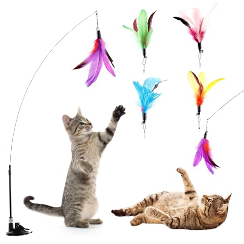 OLACD Interaktiver Katzen-Teaser-Stick mit Saugnapf und Federmine, elastisch, Schwarz und Weiß OLACD Interaktiver Katzen-Teaser-Stick mit Saugnapf und Federmine, elastisch, Schwarz und Weiß von OLACD