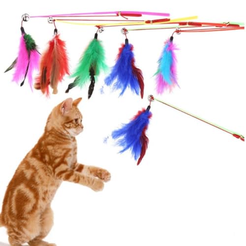 OLACD Katzenspielzeug mit elastischem Seil und Feder, bissfest, mehrfarbig, 3 Stück von OLACD