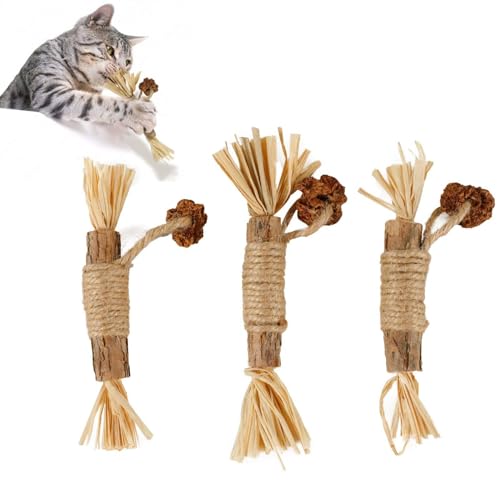 OLACD Kauspielzeug für Katzen, interaktiv, 3 Stück, nützliche Molar-Silbervin-Sticks für Katzen, natürlich von OLACD