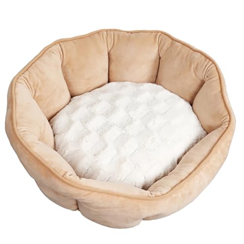 OLACD Schlafbett, Katzenkissen, Kätzchenbett, niedlich, warm, schlafend, Muschelbett für Katze, Muschelbett OLACD Schlafbett, Katzenkissen, Kätzchenbett, niedlich, warm, schlafend, Muschelbett für Katze, Muschelbett von OLACD