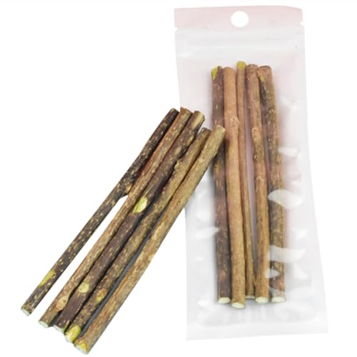 OLACD Tragbare dünne Katzenminzestäbchen für Katzen, 5 Stück, Matatabi Silvervine Stick OLACD Tragbare dünne Katzenminzestäbchen für Katzen, 5 Stück, Matatabi Silvervine Stick von OLACD