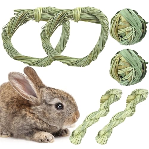OLACD Zahnzahnpflege für Hamster, klein: Spielzeug für Molaren, Ratten, Tierkauen, 6 Stück, Gras-Leckerli-Reinigungsspielzeug, natürlicher Ball, Kaninchen OLACD Zahnzahnpflege für Hamster, klein: Spielzeug für Molaren, Ratten, Tierkauen, 6 Stück, Gras-Leckerli-Reinigungsspielzeug, natürlicher Ball, Kaninchen von OLACD