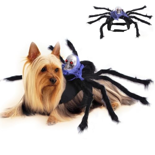 Plüsch-Spinnenkostüm für Haustiere, weiches pelziges Hundeoutfit mit Filzdetails, wiederverwendbar, gruselige Horror-Halloween-Bekleidung, unverzichtbarer Haustierbedarf für Welpen Plüsch-Spinnenkostüm für Haustiere, weiches pelziges Hundeoutfit mit Filzdetails, wiederverwendbar, gruselige Horror-Halloween-Bekleidung, unverzichtbarer Haustierbedarf für Welpen von OLACD