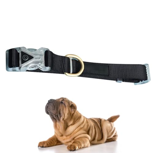 Verstellbares, tragbares, weiches, klassisches Haustierhalsband, Nylon-Schnalle, Training, beleuchtet, wiederverwendbar für Hunde Verstellbares, tragbares, weiches, klassisches Haustierhalsband, Nylon-Schnalle, Training, beleuchtet, wiederverwendbar für Hunde von OLACD