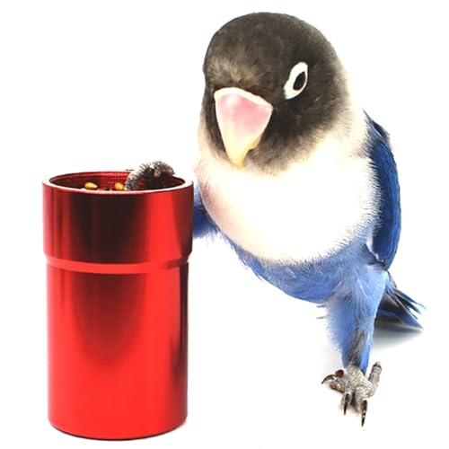 Wasserdichter Miniatur-Metall-Papageienfutterhalter: tragbares Vogelfutterwerkzeug für Nymphensittiche und Lovebirds, zum Aufhängen von OLACD
