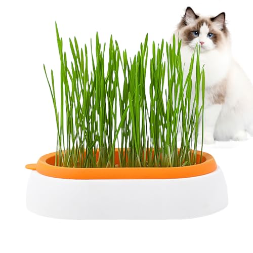 OLCANA Grasbehälter für Katzen, Graswanne für Katzen, Hunde und andere Haustiere, drinnen und draußen, für Sprossen, Zubehör für Haustiere von OLCANA
