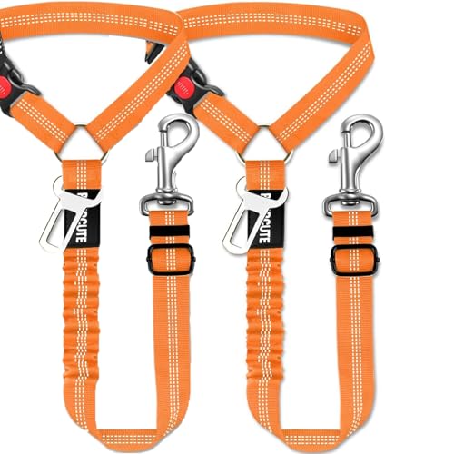 2 Pack Hunde Auto-Sicherheitsgurt, verstellbarer Sicherheitsgurt, strapazierfähiges Nylon, unverzichtbar für Haustierreisen, 360 ° Drehung, stoßdämpfende Elastizität, geeignet für Katzen und Hunde 2 Pack Hunde Auto-Sicherheitsgurt, verstellbarer Sicherheitsgurt, strapazierfähiges Nylon, unverzichtbar für Haustierreisen, 360 ° Drehung, stoßdämpfende Elastizität, geeignet für Katzen und Hunde von OLEOJH