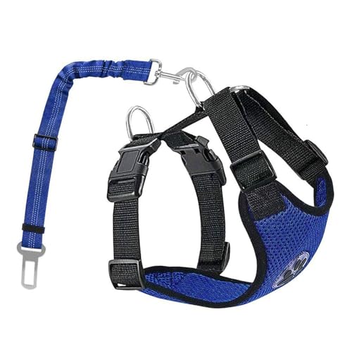 Hundegeschirr, verstellbare Haustierweste, atmungsaktive Polsterung, Haustier-Sicherheitsgurt, bequem und verstellbar, inklusive Hundeleine, verwendet für Training und Spazierengehen, Blau||XS von OLEOJH