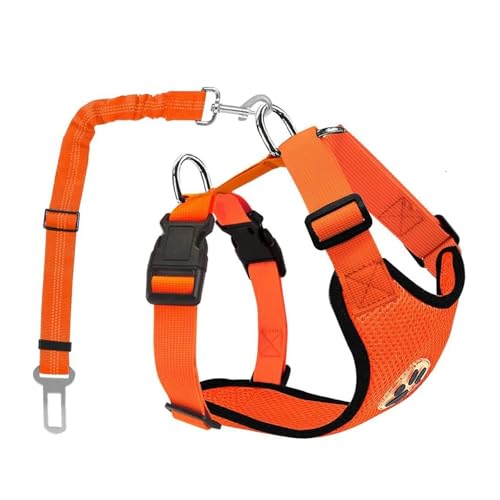 Hundegeschirr, verstellbare Haustierweste, atmungsaktive Polsterung, Haustier-Sicherheitsgurt, bequem und verstellbar, inklusive Hundeleine, verwendet für Training und Spazierengehen, Orange|Größe S von OLEOJH