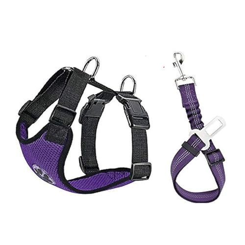 Hundegeschirr, verstellbare Haustierweste, atmungsaktive Polsterung, Haustier-Sicherheitsgurt, bequem und verstellbar, inklusive Hundeleine, verwendet für Training und Spazierengehen, Violett||XXS von OLEOJH