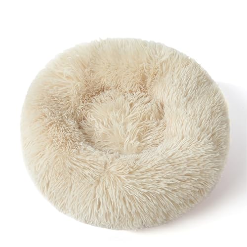 OLEOJH Donut-Katzenbett, Katzenbetten für Indoor-Katzen, groß, flauschig und bequem, rundes Plüschnest, geeignet für kleine, mittelgroße und große Katzen, Beige, Durchmesser 50 cm OLEOJH Donut-Katzenbett, Katzenbetten für Indoor-Katzen, groß, flauschig und bequem, rundes Plüschnest, geeignet für kleine, mittelgroße und große Katzen, Beige, Durchmesser 50 cm von OLEOJH