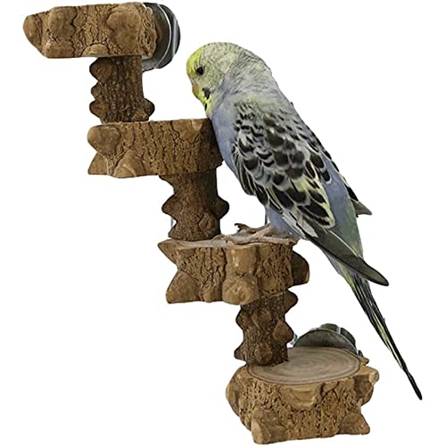 Vogelhaus Kreative Holzleiter, Vintage-Vogelkäfig, Vogelzahnpflege-Backenspielzeug, Holz-Kauspielzeug für kleine Vögel, braun Heimtiercenter Vogelhaus Kreative Holzleiter, Vintage-Vogelkäfig, Vogelzahnpflege-Backenspielzeug, Holz-Kauspielzeug für kleine Vögel, braun Heimtiercenter von OLOTU