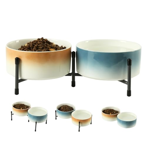 OMAYKEY Keramiknapf für Hunde und Katzen, 2 Stück, mit erhöhtem Metallständer, 15,2 cm, Keramik, rund, Futternapf für Katzen und Hunde, Blau und Braun OMAYKEY Keramiknapf für Hunde und Katzen, 2 Stück, mit erhöhtem Metallständer, 15,2 cm, Keramik, rund, Futternapf für Katzen und Hunde, Blau und Braun von OMAYKEY
