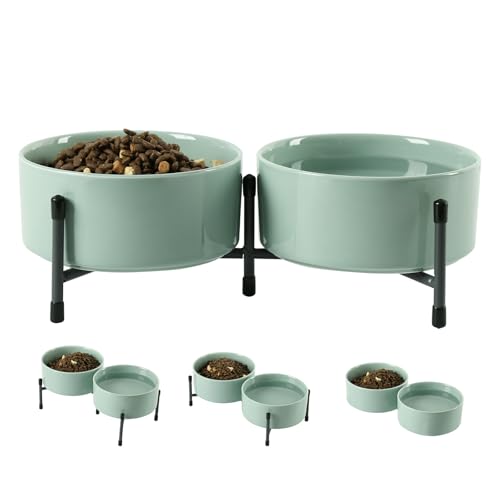 OMAYKEY Keramiknapf für Hunde und Katzen, 2 Stück, mit erhöhtem Metallständer, 15,2 cm, Keramik, rund, für Futter und Wasser, Hellgrün OMAYKEY Keramiknapf für Hunde und Katzen, 2 Stück, mit erhöhtem Metallständer, 15,2 cm, Keramik, rund, für Futter und Wasser, Hellgrün von OMAYKEY