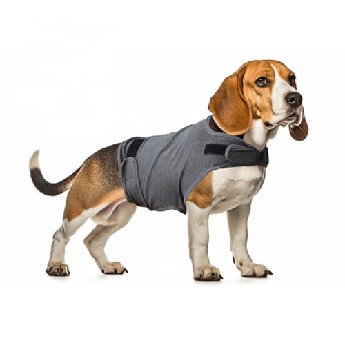 Beruhigende Weste für Hunde, zur Linderung von Angstzuständen, Donnerhemd für Haustiere, Stressabbau, bequeme Passform, verstellbare Hundekleidung für kleine, mittelgroße und große Hunde (Grau, S) Beruhigende Weste für Hunde, zur Linderung von Angstzuständen, Donnerhemd für Haustiere, Stressabbau, bequeme Passform, verstellbare Hundekleidung für kleine, mittelgroße und große Hunde (Grau, S) von OMEM