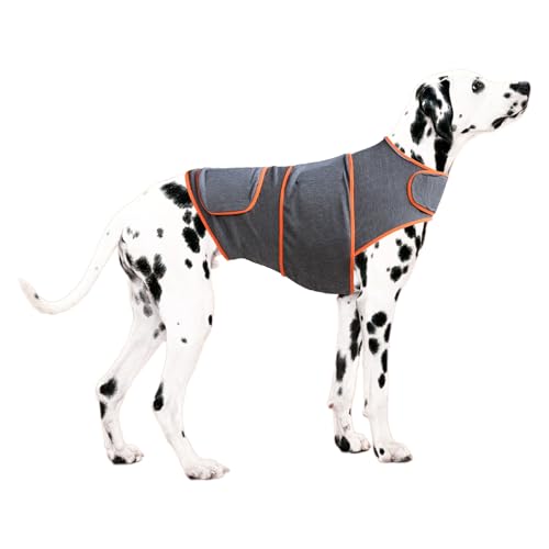Beruhigende Weste für Hunde, zur Linderung von Angstzuständen, Donnerhemd für Haustiere, Stressabbau, bequeme Passform, verstellbare Hundekleidung für kleine, mittelgroße und große Hunde (Orange, XS) Beruhigende Weste für Hunde, zur Linderung von Angstzuständen, Donnerhemd für Haustiere, Stressabbau, bequeme Passform, verstellbare Hundekleidung für kleine, mittelgroße und große Hunde (Orange, XS) von OMEM