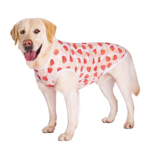 Hunde-Sommerweste für den Sommer, kühles Netzgewebe für Golden Retriever, Labrador und andere mittelgroße und große Hunde, atmungsaktiv, leicht, Druckdesign, Rosa Erdbeere, Größe 4XL Hunde-Sommerweste für den Sommer, kühles Netzgewebe für Golden Retriever, Labrador und andere mittelgroße und große Hunde, atmungsaktiv, leicht, Druckdesign, Rosa Erdbeere, Größe 4XL von OMEM