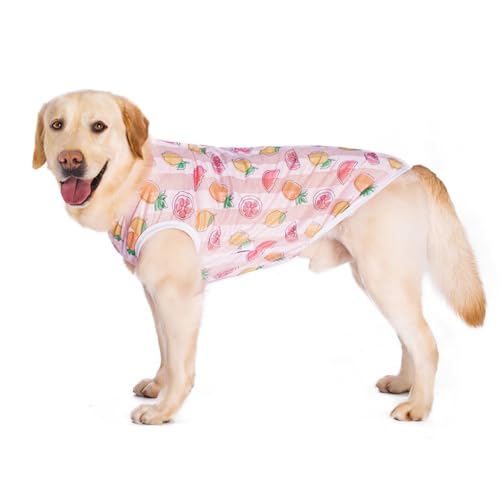 Hunde-Sommerweste für den Sommer, kühles Netzgewebe für Golden Retriever, Labrador und andere mittelgroße und große Hunde, atmungsaktiv, leicht, Druckdesign (rosa Früchte, Größe 3XL) von OMEM
