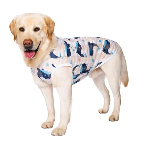 Hunde-Sommerweste für den Sommer, kühles Netzgewebe für Golden Retriever, Labrador und andere mittelgroße und große Hunde, atmungsaktiv, leicht, Druckdesign (weißer Hintergrund, Wal, Größe 3XL) Hunde-Sommerweste für den Sommer, kühles Netzgewebe für Golden Retriever, Labrador und andere mittelgroße und große Hunde, atmungsaktiv, leicht, Druckdesign (weißer Hintergrund, Wal, Größe 3XL) von OMEM