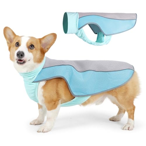 Kühlweste für den Sommer, atmungsaktiv, leicht, für heißes Wetter, bequemes Tragen (Graublau, XL) von OMEM