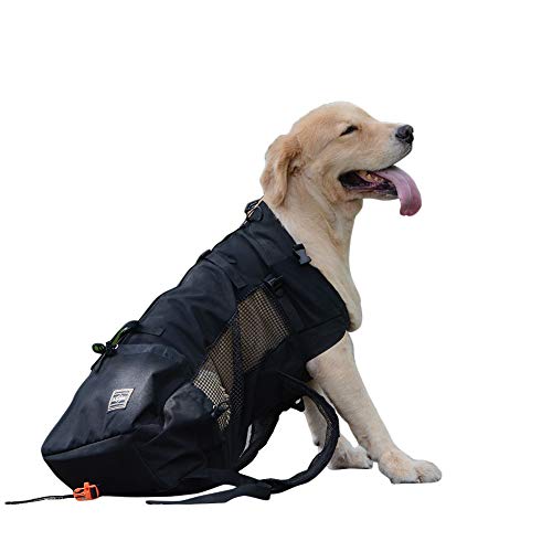 OMEM Atmungsaktiver und bequemer Hundetrucksack für Haustiere zum Wandern Reisesporttasche (M) von OMEM