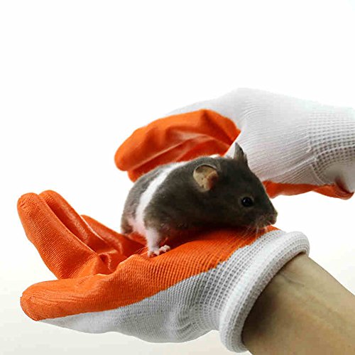 OMEM Schutz-Handschuhe zu vermeiden, die Hände Beißen von Hamster (1 Paar) von OMEM