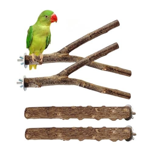 Papageien-Pfeffer-Holz-Sitzstange mit natürlichem Baumzweig-Rahmen für Vogelbedarf, 4-teiliges Kombinationsset von OMEM