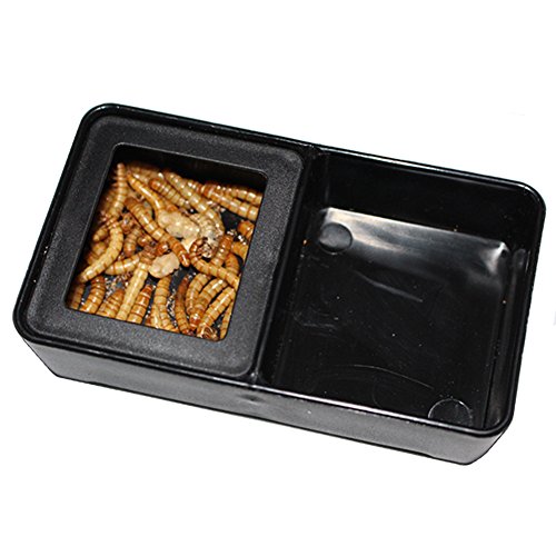 OMEM Wurmschale Mini Reptilien Futter- und Wassernapf 2 in 1 OMEM Wurmschale Mini Reptilien Futter- und Wassernapf 2 in 1 von OMEM