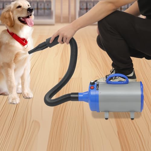 Hundefön Blower Hund mit Einstellbare Geschwindigkeit und Temperatur, 2200W Tragbar Tierhaartrockner mit 4 Düsen und elastischem Schlauch, Sehr Leise Haartrockner für Haustiere von die Hundepflege Hundefön Blower Hund mit Einstellbare Geschwindigkeit und Temperatur, 2200W Tragbar Tierhaartrockner mit 4 Düsen und elastischem Schlauch, Sehr Leise Haartrockner für Haustiere von die Hundepflege von OMGGYER