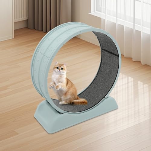 Katzenlaufrad aus Holz, Indoor-Laufband für Katzen bis 10 kg, Super Leise Katzenrad mit abnehmbarem Teppich zur Gewichtsabnahme & Gesundheitsförderung (80cm, Blau) von OMGGYER
