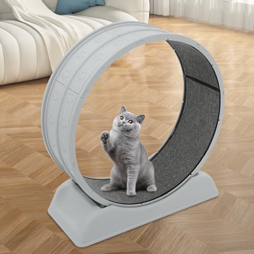 Katzenlaufrad aus Holz, Indoor-Laufband für Katzen bis 10 kg, Super Leise Katzenrad mit abnehmbarem Teppich zur Gewichtsabnahme & Gesundheitsförderung (80cm, Grau) von OMGGYER