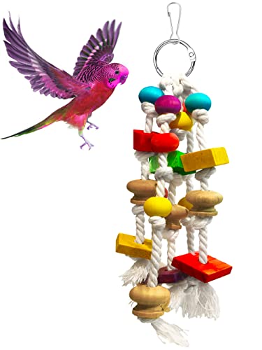 OMYZERO Kauspielzeug für Papageien – Papageienkäfig Biss Spielzeug mehrfarbige natürliche Holzblöcke Vogel Reißspielzeug empfohlen für Aras, Cokatoos, afrikanische Graupapageien, Aras und eine von OMYZERO